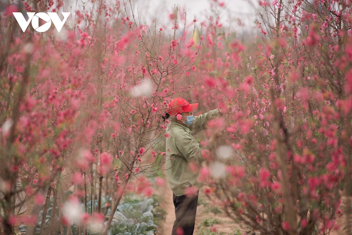 A gardener gets preparations underway for the next harvest season.