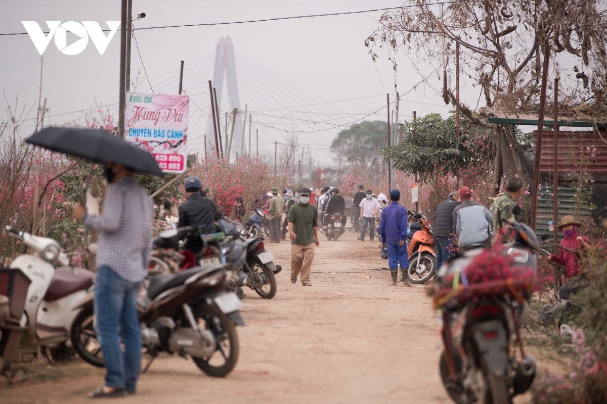 Customers can go directly to the village in order to choose their favourite peach trees.