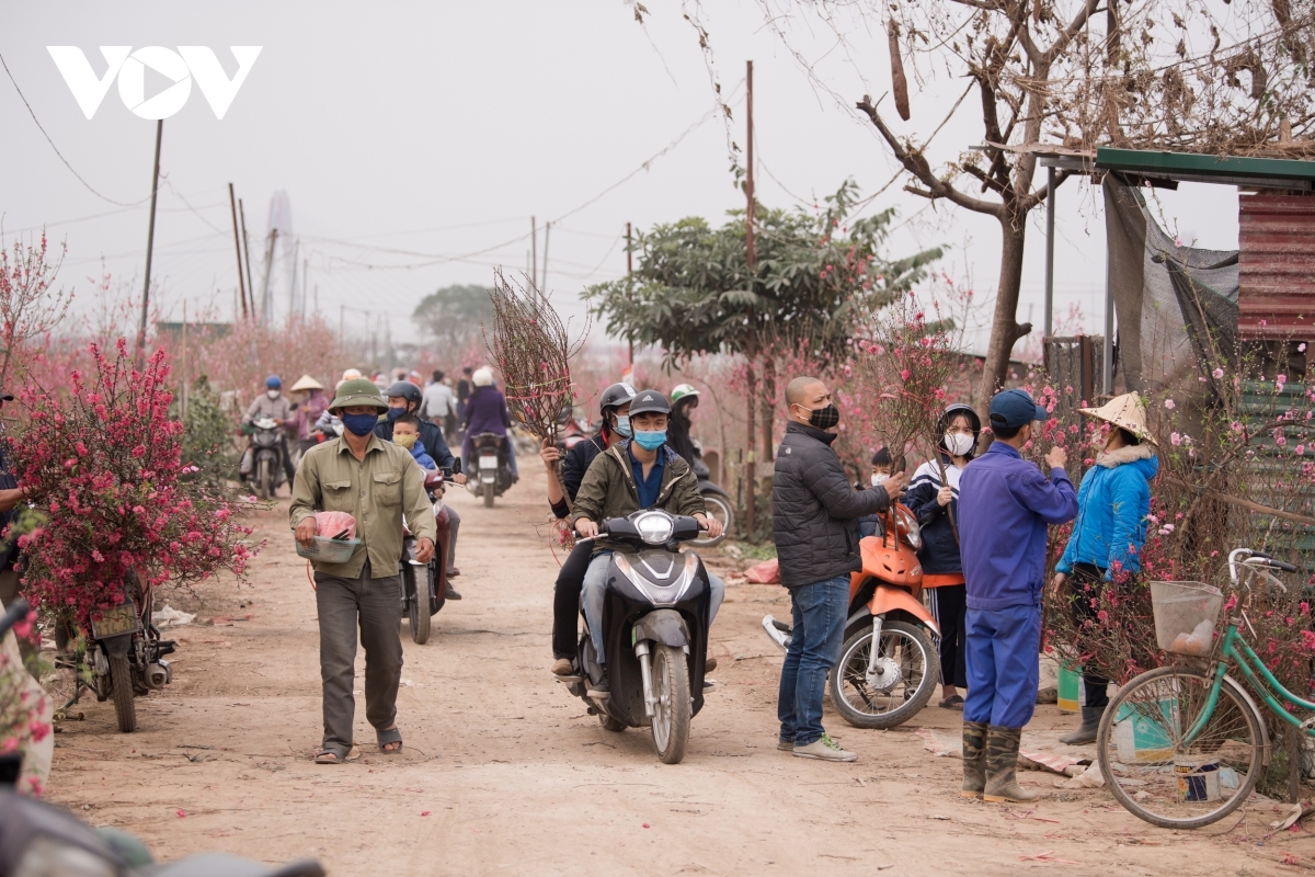 A bustling atmosphere of festive joy covers Nhat Tan village on the final day of the 12th lunar month.