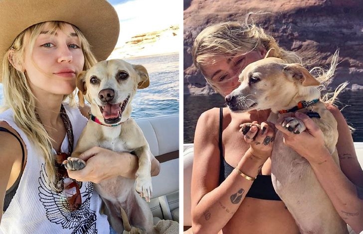"Cô nàng ngổ ngáo" Miley Cyrus thật hiền dịu bên người bạn Beanie.