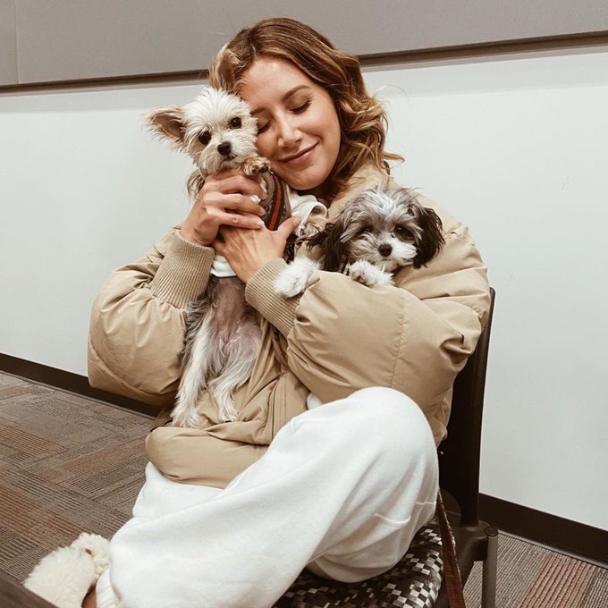 Ashley Tisdale thường xuyên nhắc đến hai người bạn Ziggy Stardust và Sushi Sue trên trang cá nhân.