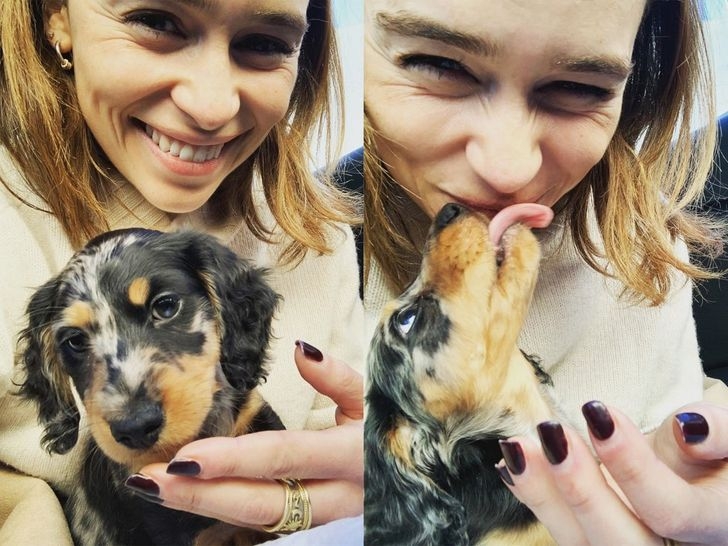 Emilia Clarke mỉm cười hạnh phúc bên chú chó cưng Ted.