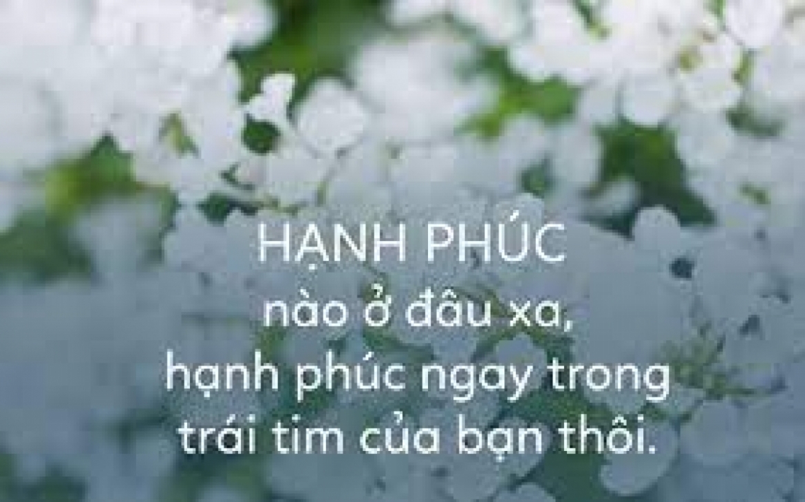 Nguồn: Internet