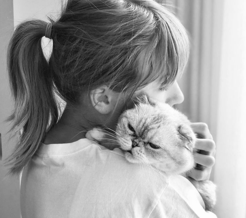 Khoảnh khắc yên bình của Taylor Swift bên chú mèo cưng Olivia Benson./.