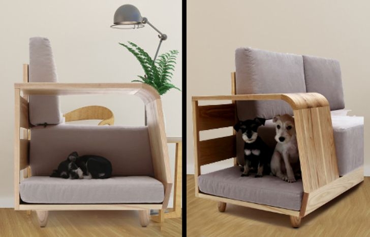 Sofa tích hợp nhà cho cún cưng, tại sao không?