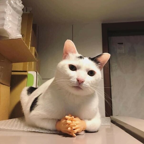 Gương mặt rất nghiêm túc suy nghĩ.