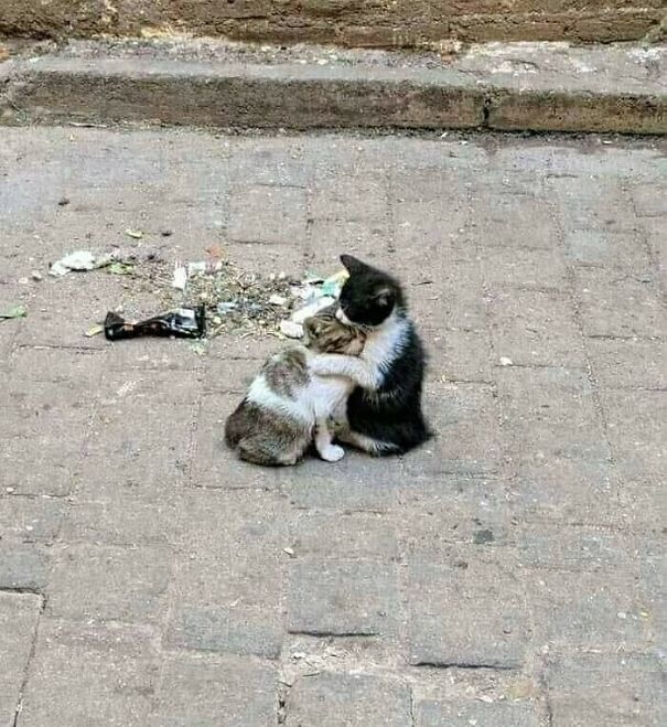 "Không sao đâu, có tôi bên bạn rồi".