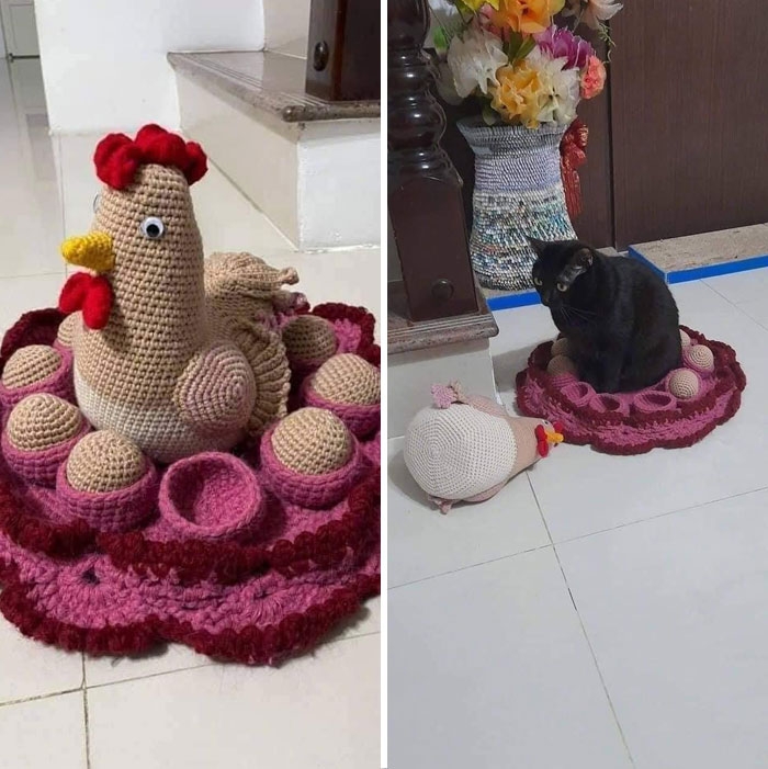 Tìm được chỗ hạ cánh mới.