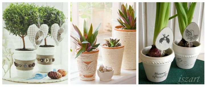 Có rất nhiều cách để biến những chậu hoa thành tâm điểm chú ý trong căn phòng của bạn.