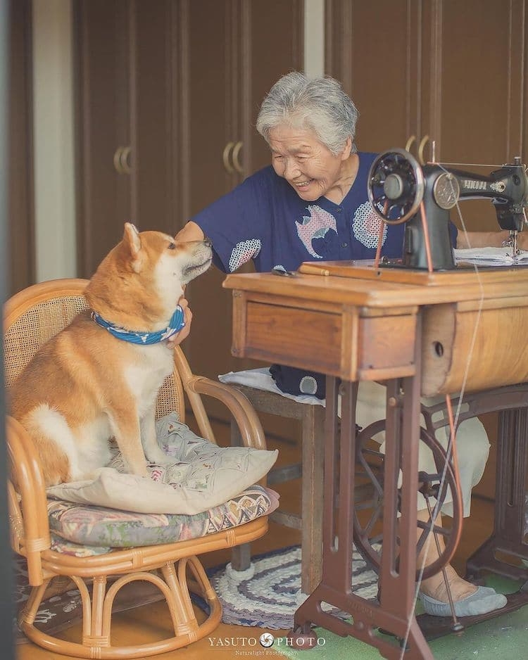 Bởi vậy, nuôi thú cưng cũng là một trong những biện pháp tốt. Những chú thú cưng sẽ làm bạn với người lớn tuổi và giúp họ vui vẻ hơn trong cuộc sống.