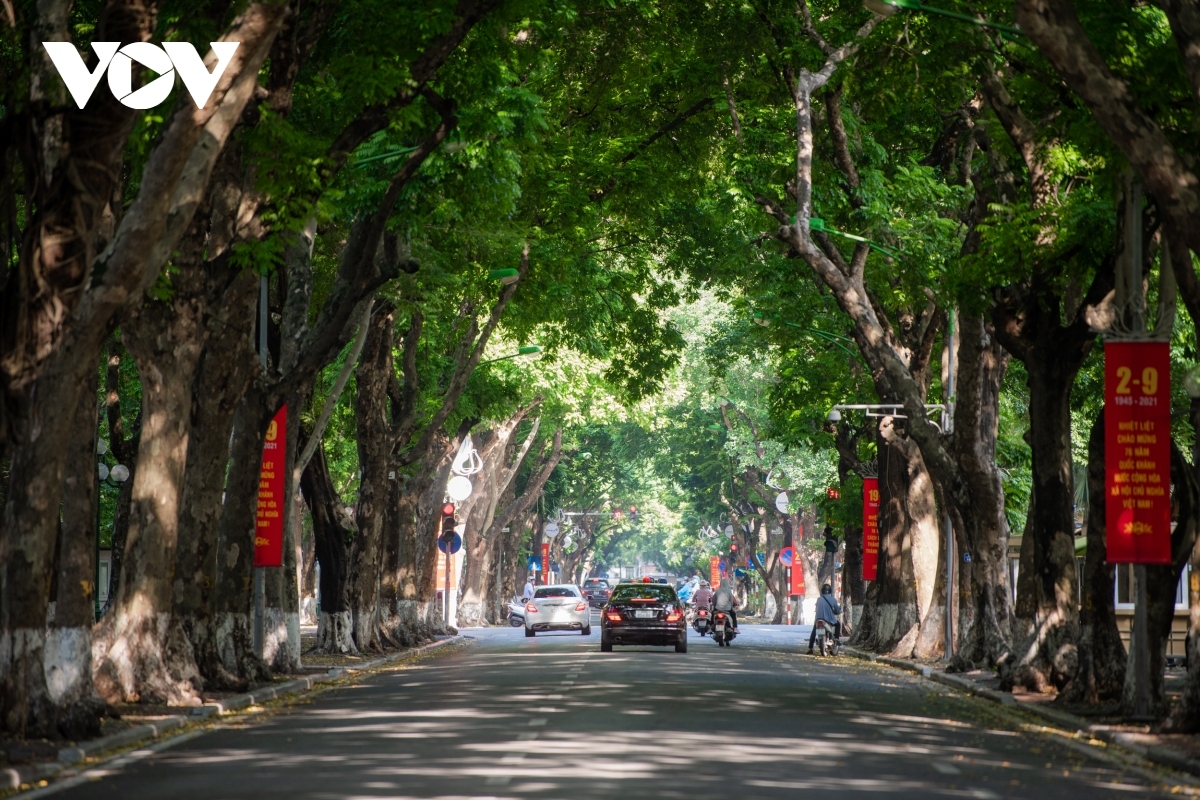 Đây là con đường có vỉa hè rộng ở Hà Nội với những cây sấu cổ thụ. Điều đặc biệt có đoạn phố có hai hàng cây trên cùng một vỉa hè. 