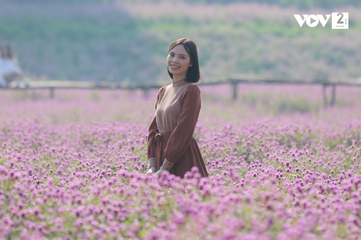 Từ lúc gieo hạt đến khi ra hoa là bốn tháng, sau ba tháng hoa mới tàn. Đang vào mùa nhưng do dịch bệnh, lượng khách đến chụp giảm đến 80%, không còn tình trạng xếp hàng, chen lấn khi chụp.