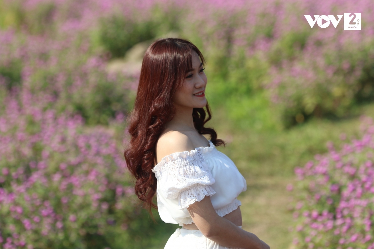Bạn đừng bỏ lỡ cơ hội đắm chìm trong sắc hoa đang nhuộm tím cả một vùng trời chớm đông./.