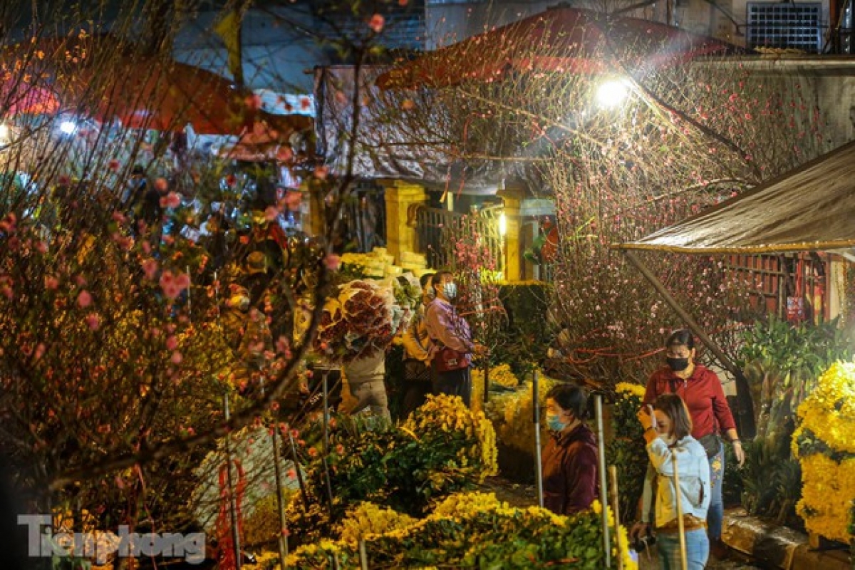 When arriving at the market, visitors can get lost in a forest of peach flowers which are indispensable during the long Tet holiday for Vietnamese people.