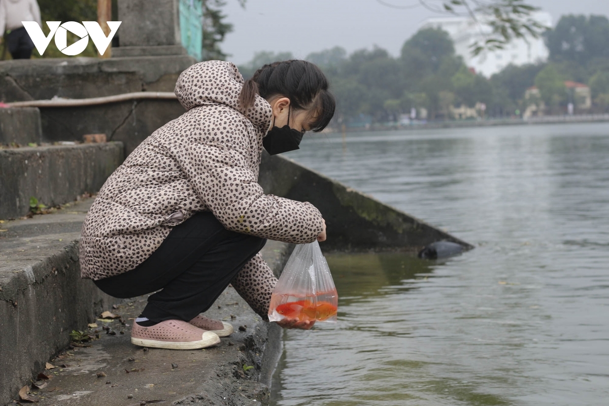 Với mỗi người Việt Nam, khoảnh khắc thả cá chép xuống nước ngày ông Công ông Táo về trời thường mang nhiều cảm xúc đặc biệt, báo hiệu chuẩn bị kết thúc năm cũ, bắt đầu cho năm mới.