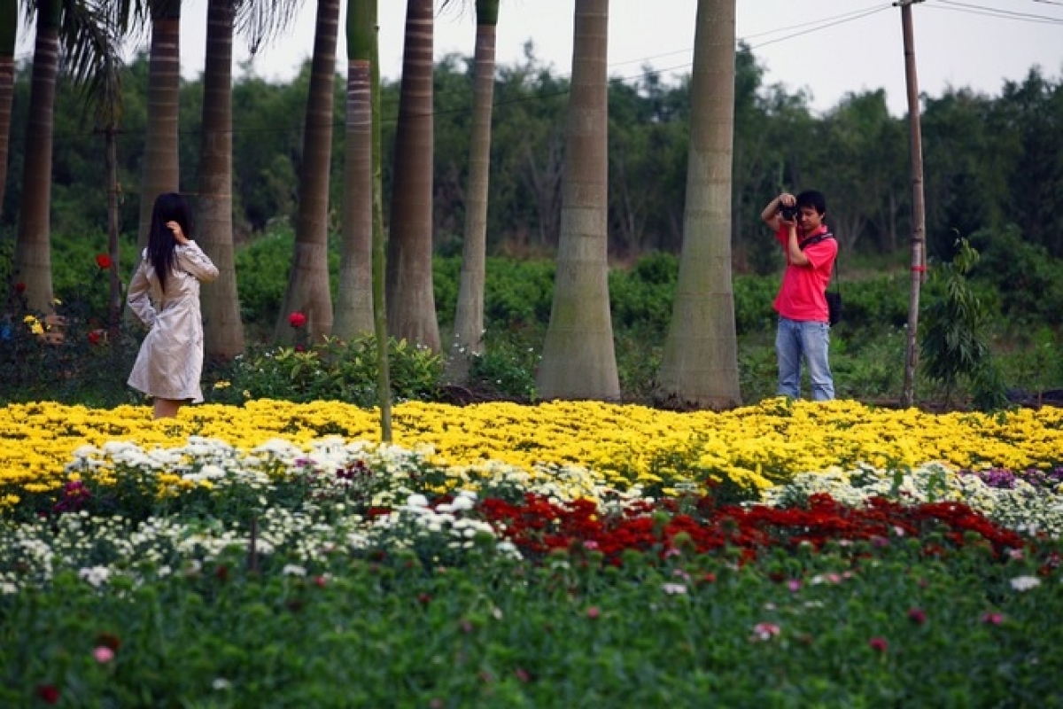 Before the COVID-19 pandemic broke out, the site was an ideal place in which young people could take photographs. (Photo: Vietnamnet)