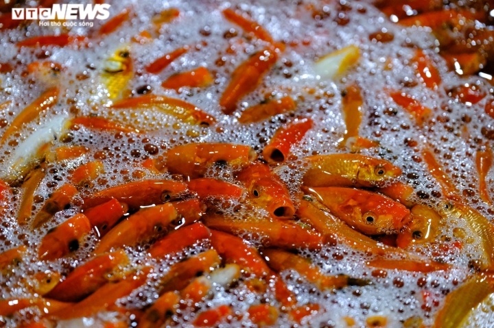 Lái buôn ở đây cho biết, phiên chợ thường đông đúc nhất là vào rạng sáng 22, 23 tháng Chạp. Phần lớn cá chép ở đây được mua từ các tỉnh Hà Nam, Hải Dương, Phú Thọ...