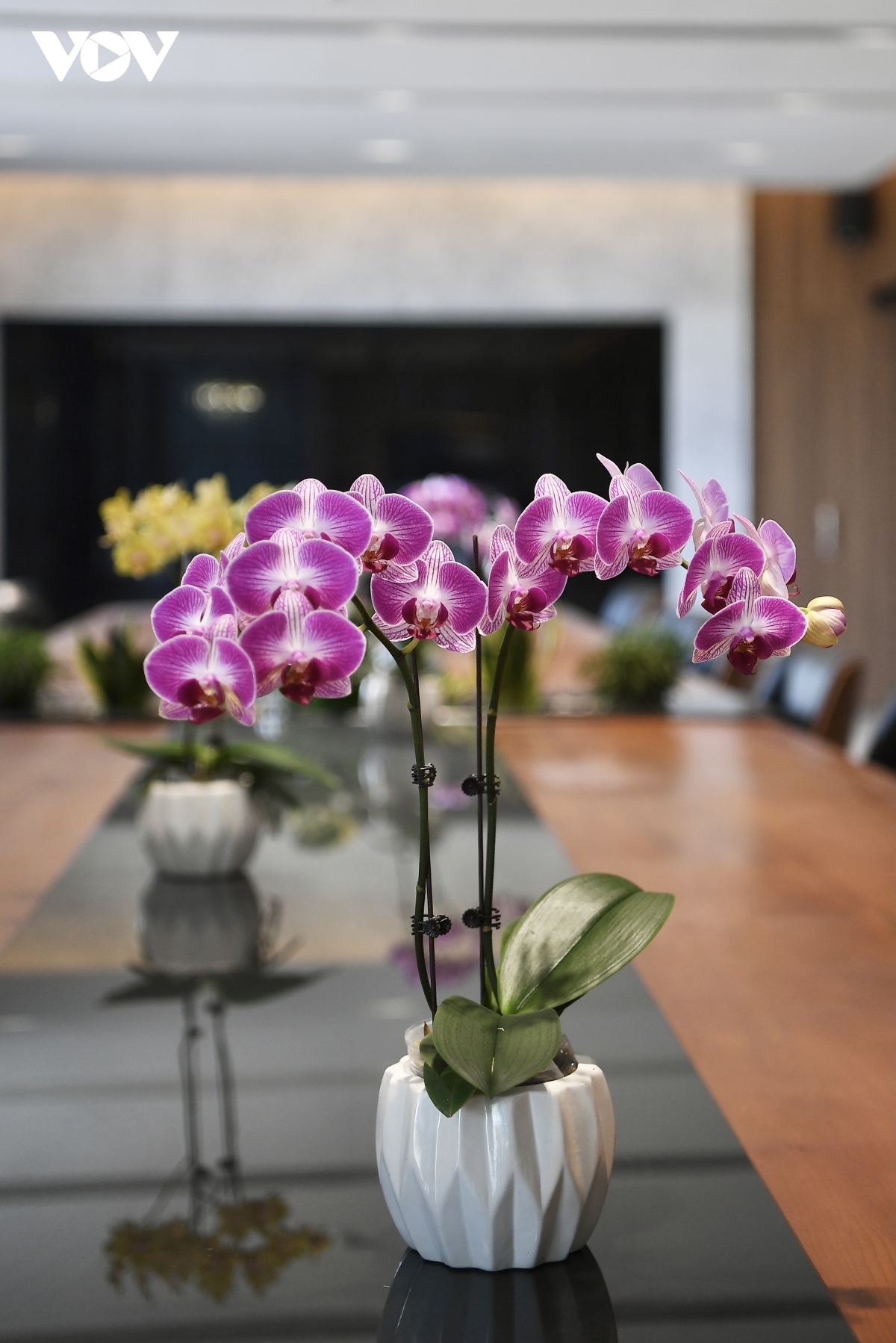 She notes that customers tend to order orchids as gifts, while some restaurants and businesses purchase them as decorations with Tet fast approaching.