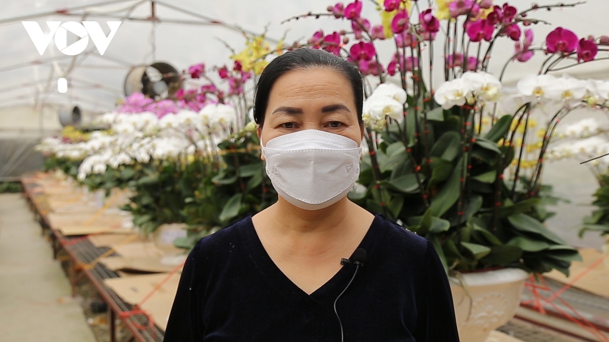 Despite the impact of the COVID-19 pandemic, the prices of orchid flowers remain unchanged. A small plant costs VND150,000, according to Do Thi Mo, the owner of an orchid garden in Gioi Te village.