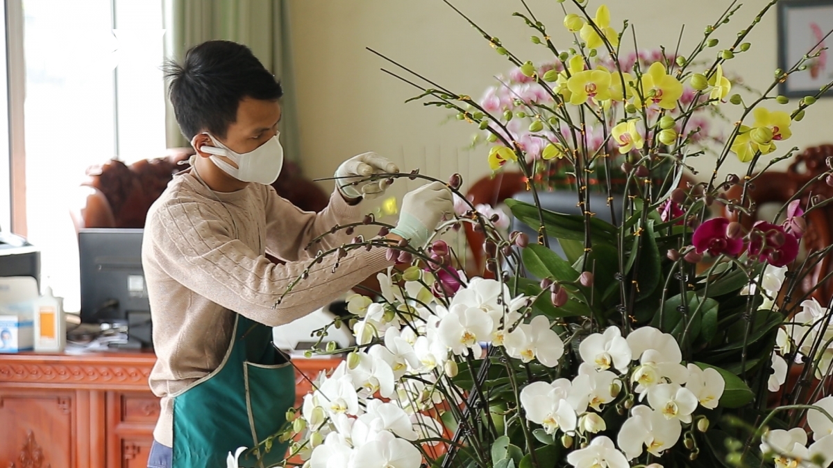 Orchid trees can be kept in spacious rooms and at temperatures of around 10 degrees Celsius, according to local gardeners.