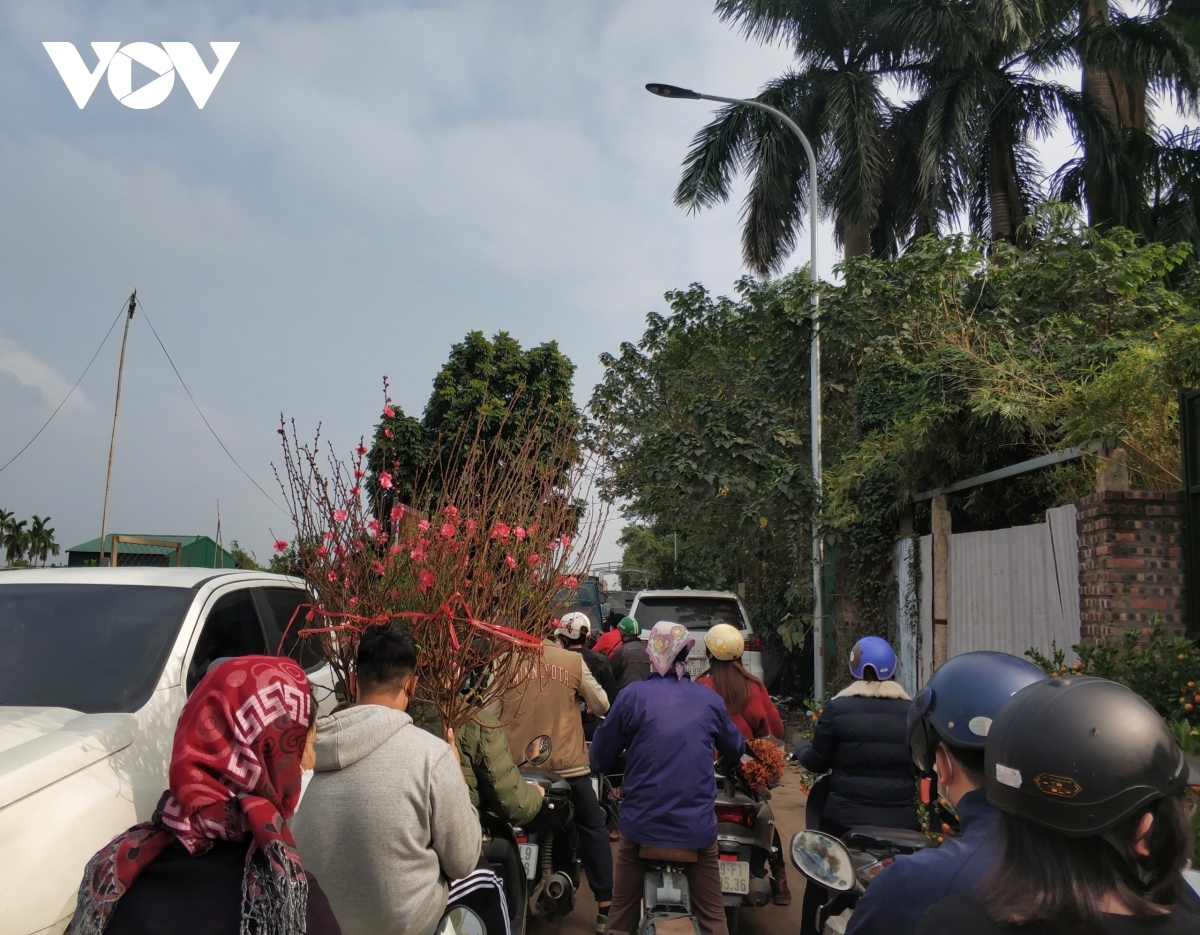 Nhat Tan peach village is packed full of local people during the final working days before Tet.