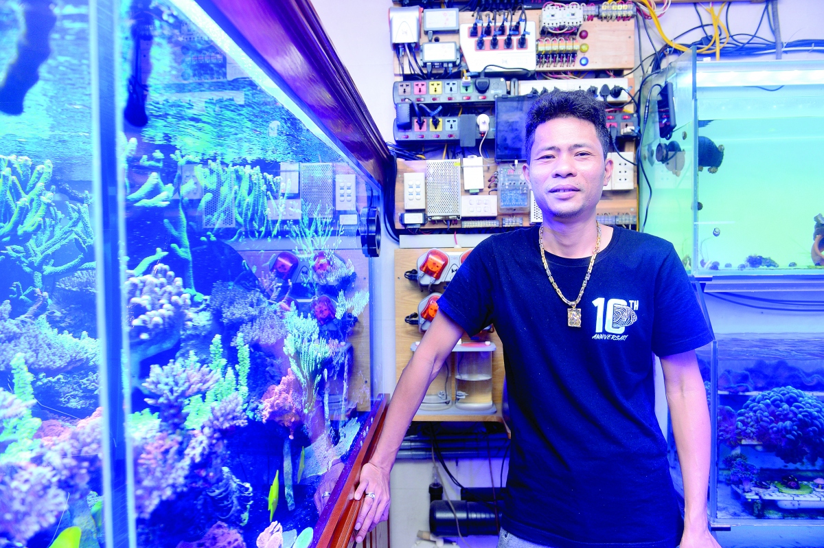 Anh Trung tâm sự: "Ngắm bể san hô này chẳng khác nào tận mắt lặn xuống đáy đại dương".
