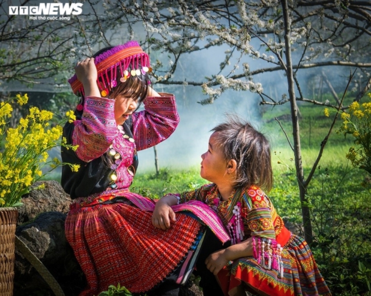 The blossoming of plum trees makes Moc Chau Plateau become a tourist attraction during springtime.