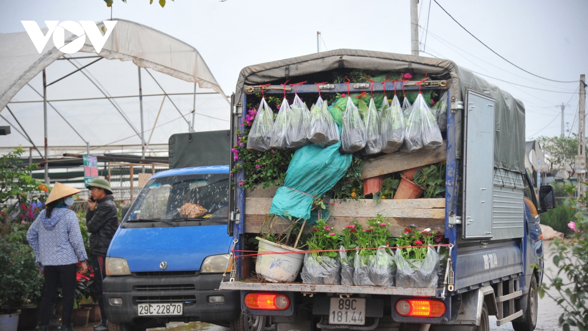 Dịp giáp Tết, làng hoa xuân quan nhộn nhịp du khách tới thăm quan, mua sắm.