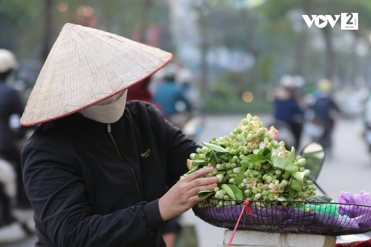 Theo chị Nhàn, người bán hoa tại Hà Nội, người mua hoa bưởi về cắm trong nước, nên thả vài viên vitamin B1, nụ sẽ nở hết, hoa sẽ bền hơn, có thể kéo dài cả tuần.