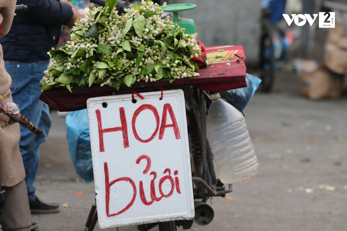 Hoa bưởi bán cân, giá dao động từ 25.000 - 30.000 nghìn đồng/lạng. 