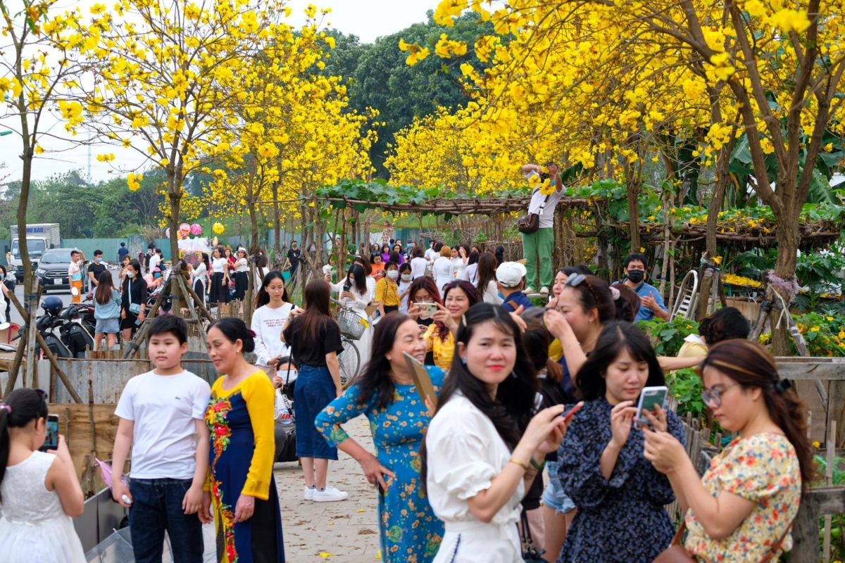 Chiều 19/3, lượng người đổ về đường hoa phong linh mới này không kém so với đường hoa phong linh ở khu đô thị ParkCity Hà Nội vừa dừng đón khách.