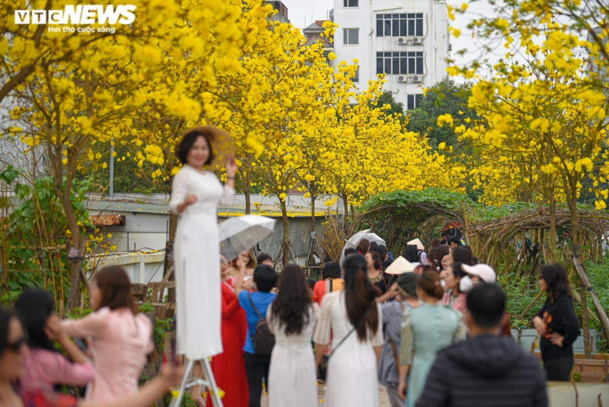 Càng về chiều, du khách đến đây càng đông khiến cung đường hoa dài gần 200 m bị "quá tải".