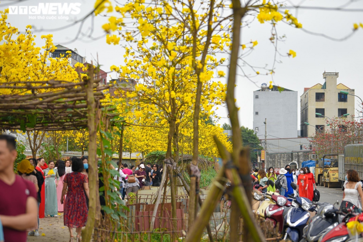 Người dân vô tư đỗ xe ngay dưới lòng đường để ngắm cảnh, chụp ảnh gây cản trở và mất an toàn giao thông.