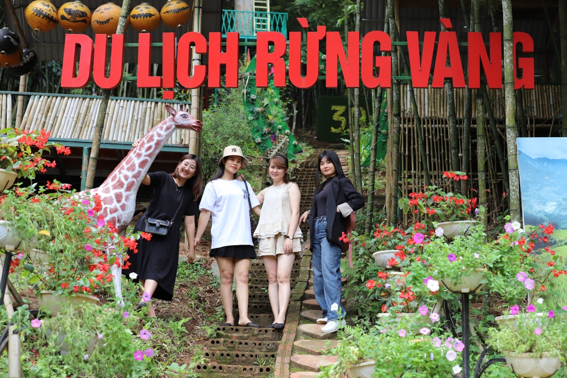 Khu du lịch rừng vàng Sơn La.