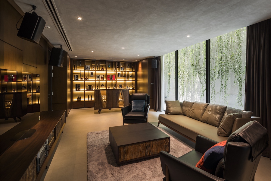 Tầng hầm bố trí phòng ngủ khách, phòng giúp việc, kho, phòng kỹ thuật; cùng với một phòng giải trí ở trung tâm. Mặc dù là tầng hầm nhưng một số vị trí sân vườn được hạ cao độ xuống như giếng trời nên hầu hết các không gian ở nơi này vẫn thoáng sáng.