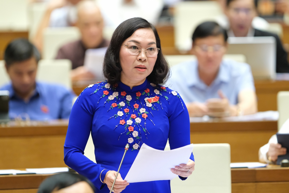 Đại biểu Lý Anh Thư, đoàn Kiên Giang.