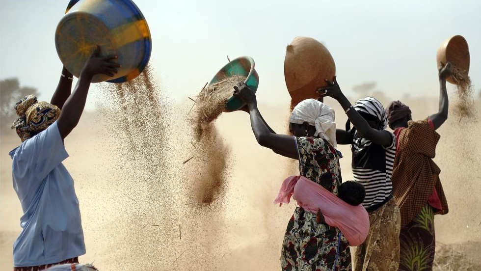 Giá lương thực tăng cao làm trậm trọng thêm nạn đói ở Châu Phi. Ảnh: AP