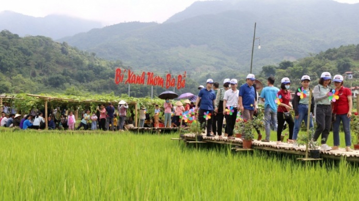 Trải nghiệm vườn bí xanh thơm đã được nhiều du khách yêu thích và lựa chọn.