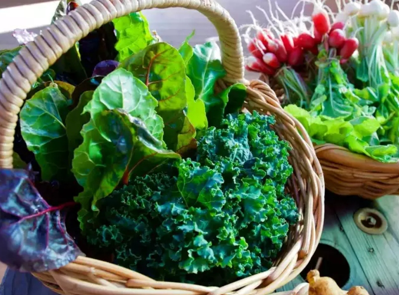 Các loại rau: Họ rau xanh đậm như rau bina chứa vô số chất dinh dưỡng như Vitamin A, Vitamin C, Vitamin K, chất xơ, folate, magiê, sắt, kali và canxi. Đây là những yếu tố cần thiết cho sự tăng trưởng và phát triển chung. Chính vì vậy muốn con cao lớn thì hãy bổ sung rau xanh vào thực phẩm giúp tăng chiều cao cho con.