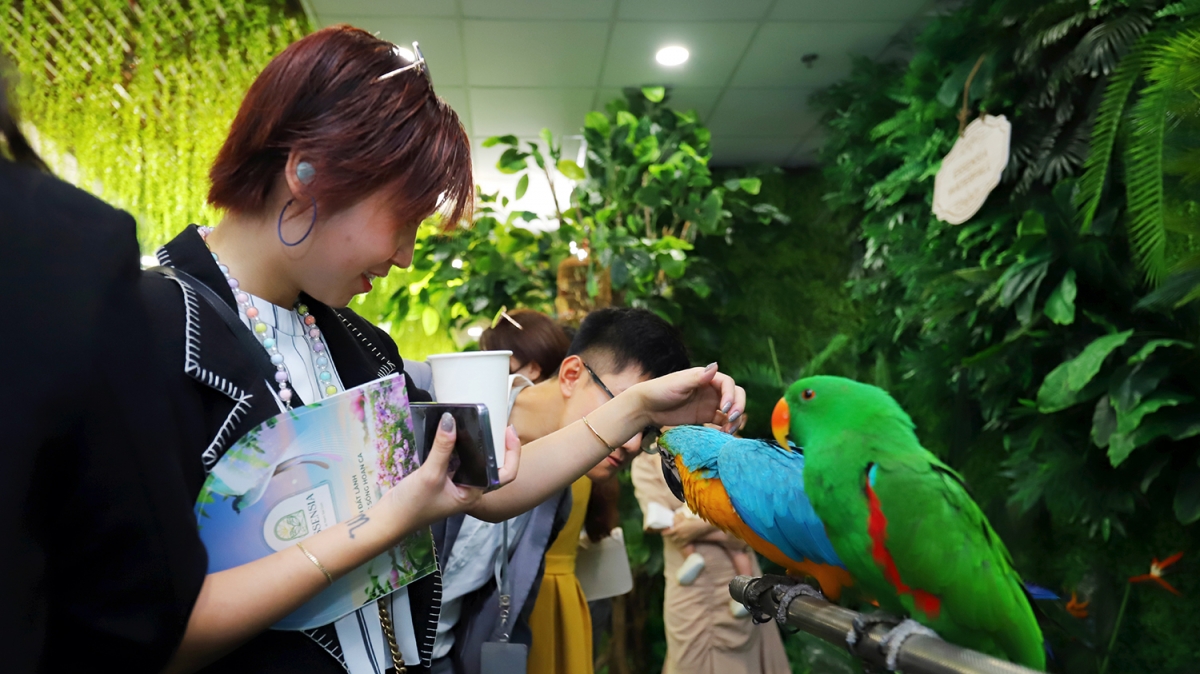 Bên cạnh đó, các hoạt động giao dịch, trao đổi diễn ra xen kẽ giữa không gian tràn ngập thiên nhiên, trải nghiệm dịch vụ chăm sóc sức khoẻ và thưởng thức ẩm thực thực dưỡng của Essensia…  khách tham dự cảm nhận về một Essensia Sky thoáng đãng, trong lành, thiên nhiên ngập tràn và các tiện ích sức khoẻ tuyệt vời, mang đến một tinh thần “Aloha” hạnh phúc.