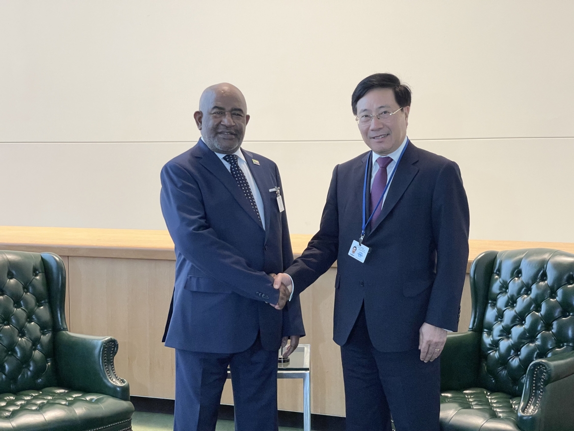 Phó Thủ tướng thường trực Phạm Bình Minh hội kiến Tổng thống Liên bang Comoros - Azali Assoumani.