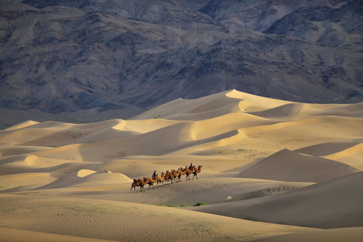 Vườn quốc gia Great Gobi của Mông Cổ là nơi sinh sống của những con lạc đà Bactrian hai bướu hay loài gấu Gobi cuối cùng trong tự nhiên. Nhiều khám phá hóa thạch quan trọng đã tìm thấy ở Gobi, trong đó có những quả trứng khủng long đầu tiên được tìm ra bởi Roy Chapman Andrews. Nguồn: Timothy Allen/Getty Images