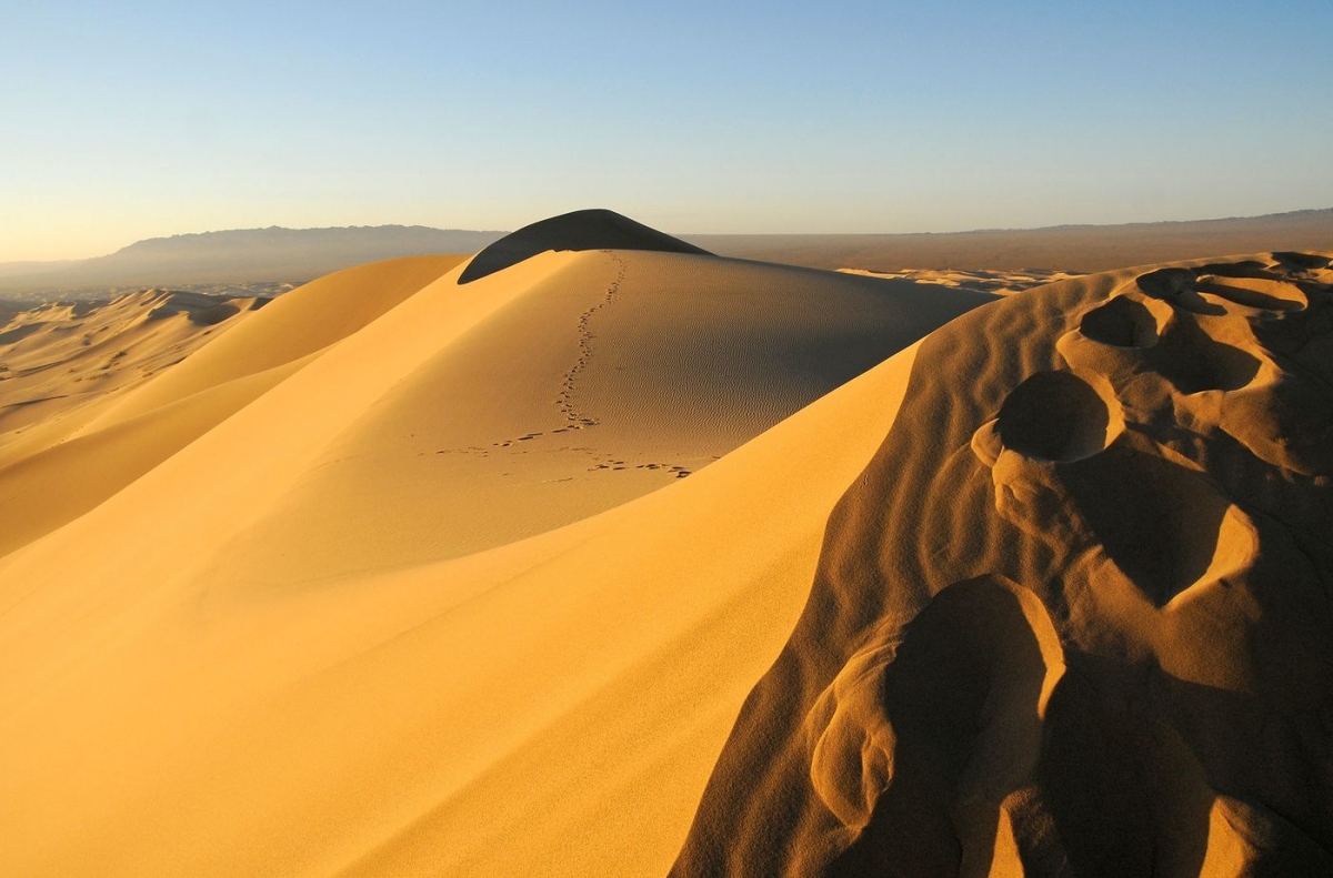 Gobi là sa mạc lớn thứ 5 trên thế giới. Tại đây nhiệt độ có thể lên tới 50 độ C vào mùa hè, cũng có thể giảm xuống -40 độ C vào mùa đông. Không có nhiều cồn cát tại Gobi, trong ảnh là Khongoryn Els được mệnh danh là "Cồn cát biết hát" vì âm thanh mà chúng tạo ra trong gió. Nguồn: Ash Western/Flickr 