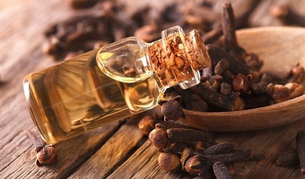 Dầu đinh hương có lợi vì nó chứa hoạt chất eugenol, một chất gây tê tự nhiên, giúp giảm đau và bớt cảm giác khó chịu.