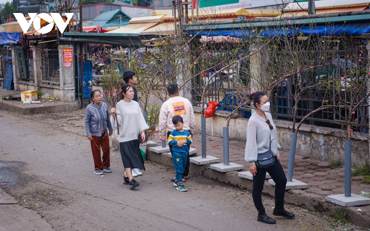 Chị Lê Thị Mỹ Tiên, người mua đào, cho biết: “Năm trước mình vào tận vườn để mua cành đào nhỏ xách về tận TP. HCM, năm nay mình ăn tết ở ngoài này nên quyết định mua cành đào lớn để trưng cho nó đẹp, mua sớm để có không khí Tết trong nhà”.