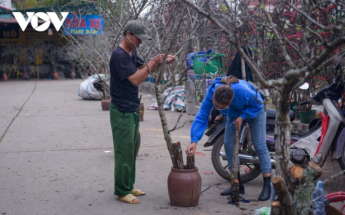 Theo tiểu thương ở chợ Quảng An cho biết những cành hoa lê rừng này được đưa từ các tỉnh miền núi phía Bắc như: Lạng Sơn, Lào Cai, Hà Giang, Bắc Giang, Yên Bái, Bắc Kạn… về thủ đô.