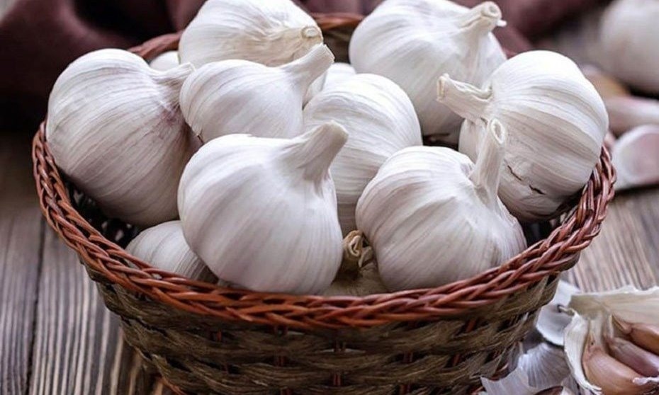 Tỏi giúp làm sạch da, loại bỏ tế bào chết, giúp nang tóc được thông thoáng, tăng cường hệ miễn dịch giúp điều tiết tình trạng tiết bã nhờn trên da đầu. Bạn có thể thực hiện cách trị gàu bằng tỏi đơn giản tại nhà bằng cách bóc vỏ ép lấy cốt vài củ tỏi, Trộn chung nước ép tỏi và mật ong theo tỷ lệ 1:3, tức là 1 muỗng cốt 3 muỗng mật. Sau đó làm cho tóc ướt rồi thoa hỗn hợp lên tóc, massage nhẹ nhàng bằng đầu ngón tay./.