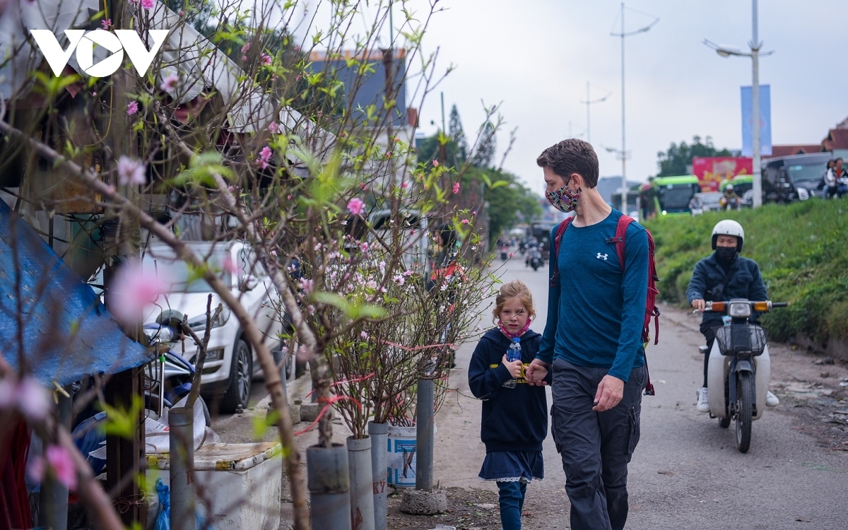 A Tet atmosphere descends on the traditional flower market in Hanoi amid customers heading to the market and purchasing beautiful peach branches in order to decorate their homes.