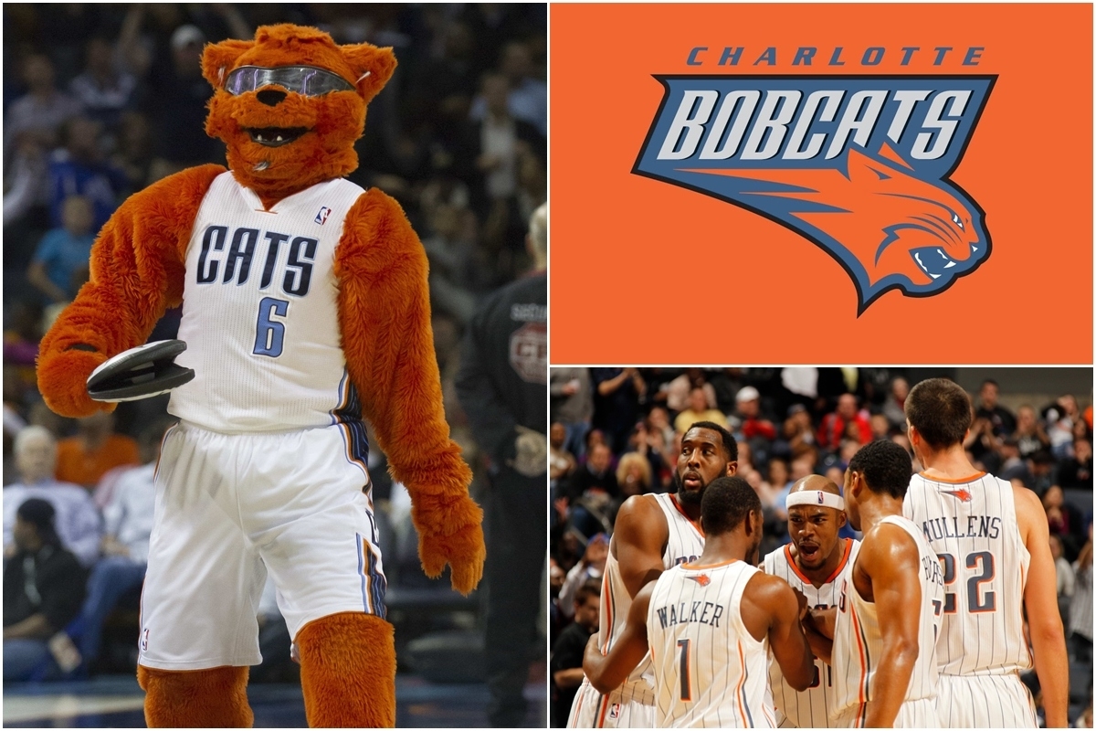 Charlotte Bobcats – “Linh miêu Charlotte” là đội hiếm hoi ở giải bóng rổ nhà nghề Mỹ gắn mèo vào tên và biểu tượng trong giai đoạn 2004-2014. Tuy nhiên, đội bóng này đã trở lại với tên khai sinh năm 1988 là Charlotte Hornets – “Ong bắp cày Charlotte” từ mùa giải 2014.