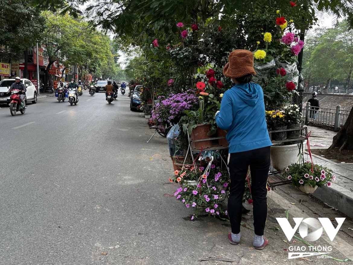 Tết, người ta cũng thích mua những chậu hoa nho nhỏ về treo ở ban công, để trên bàn nước trong nhà